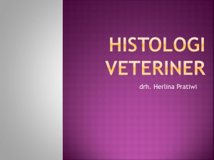 histologi veteriner - Herlina Pratiwi, DVM.