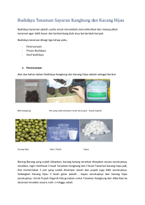 Budidaya Tanaman Sayuran Kangkung dan Kacang Hijau
