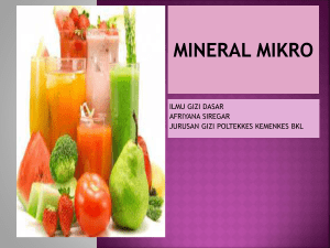 Mineral mikro