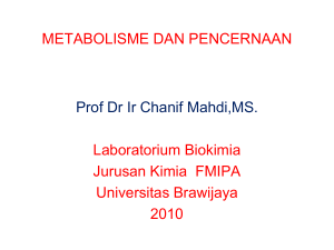 metabolisme - Universitas Brawijaya