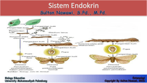 Kuliah_10._Sistem_Endokrin_Serangga