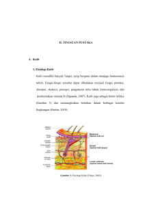 10 II. TINJAUAN PUSTAKA A. Kulit 1. Fisiologi Kulit Kulit memiliki