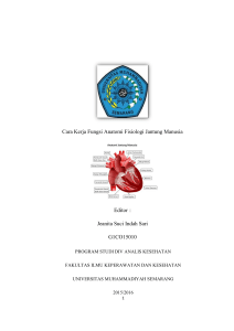 Cara Kerja Fungsi Anatomi Fisiologi Jantung Manusia Editor