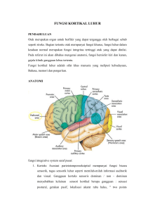 FUNGSI KORTIKAL LUHUR