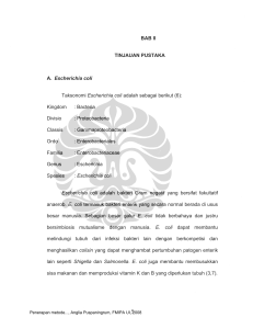 DETEKSI Escherichia coli DALAM AIR MENGGUNAKAN GEN