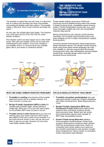 13the prostate and bladder problems masalah prostat dan kandung