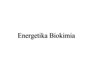 Bioenergetics