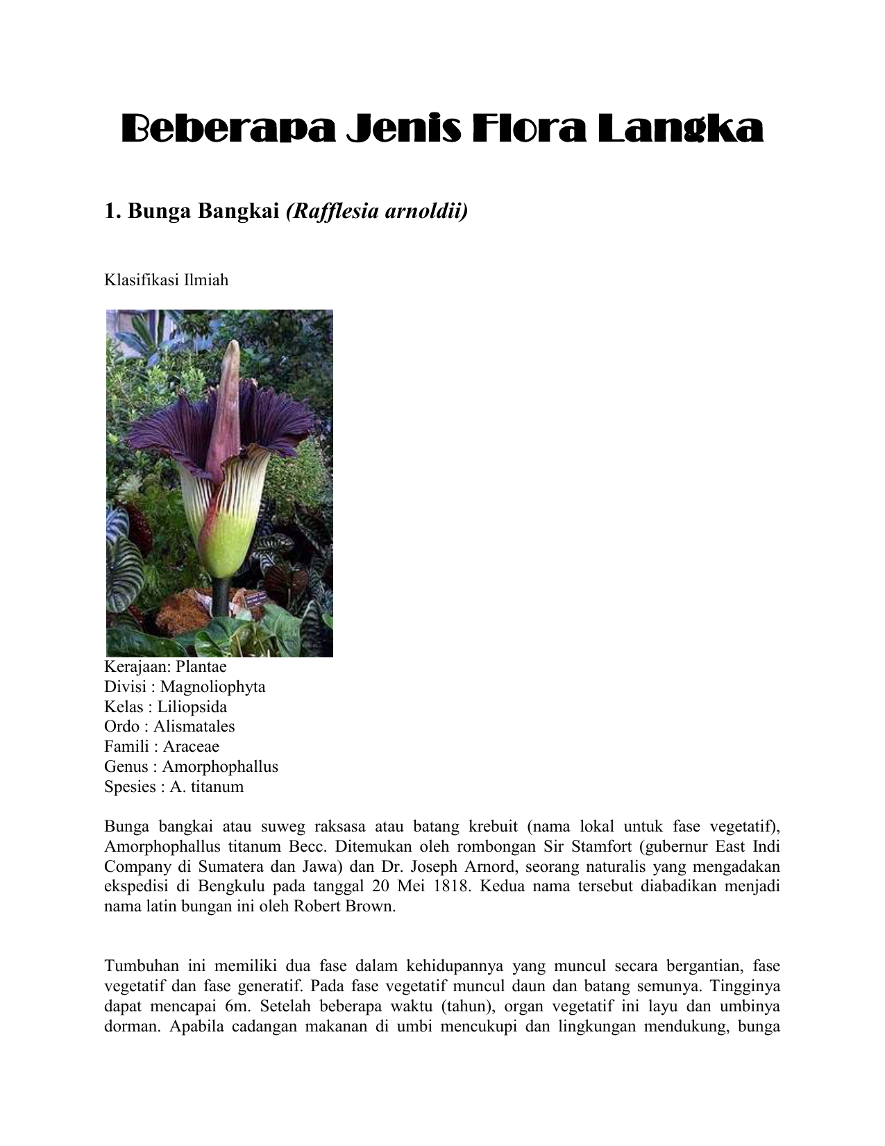 Terbaru 12 Bunga  Raflesia  Di Gambar  Menggunakan Pensil 