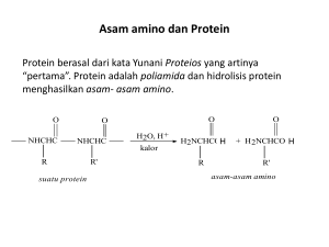 Asam amino dan Protein