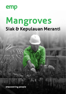 Mangroves - Energi Mega Persada
