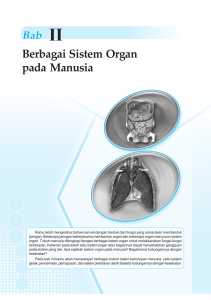 Berbagai Sistem Organ pada Manusia