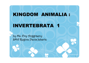 animalia_invertebrata 1_porifera-vermes_sma_2016