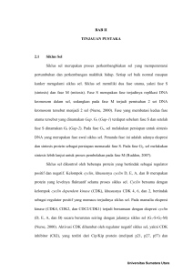 BAB II TINJAUAN PUSTAKA 2.1 Siklus Sel Siklus