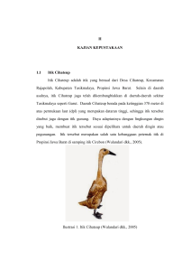 II KAJIAN KEPUSTAKAAN 1.1 Itik Cihateup Itik Cihateup adalah itik