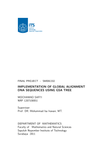 implementation of global alignment dna sequences