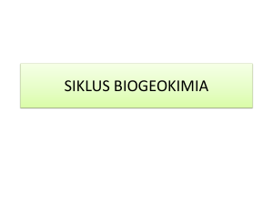 SIKLUS BIOGEOKIMIA