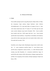 II. TINJAUAN PUSTAKA A. Enzim Enzim adalah golongan protein