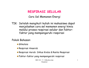 GLIKOLISIS DAN RESPIRASI