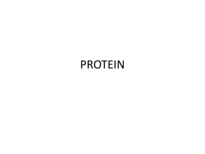 protein - USU OCW