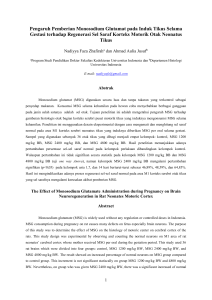 Pengaruh Pemberian Monosodium Glutamat pada Induk Tikus