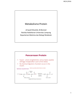 metabolisme-protein-dr-syazili