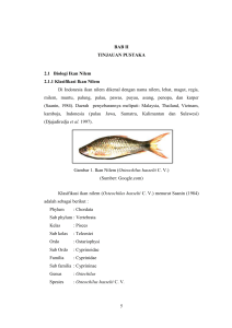 5 BAB II TINJAUAN PUSTAKA 2.1 Biologi Ikan Nilem 2.1.1