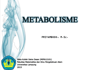 metabolisme-heterotrof