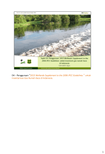2013 Wetlands Supplement to the 2006 IPCC Guidelines