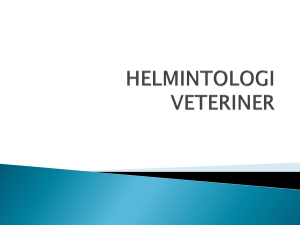 helmintologi veteriner