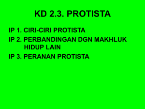 KD 2.3 Protista