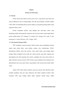 BAB II TINJAUAN PUSTAKA 2.1 Protein Protein