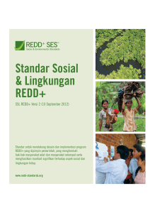 Social and Environmental Standards for