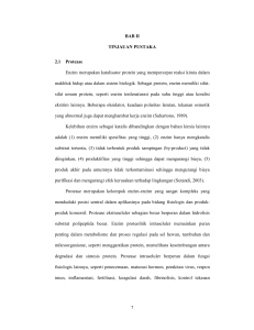 7 BAB II TINJAUAN PUSTAKA 2.1 Protease Enzim merupakan