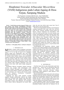 Eksplorasi Vesicular Arbuscular Mycorrhiza (VAM