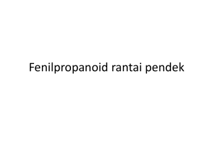 Fenilpropanoid rantai pendek