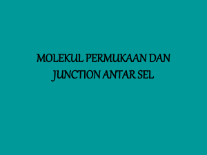 Junction sel - ukmifabiopeduli