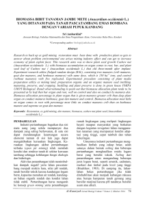 BIOMASSA BIBIT TANAMAN JAMBU METE - E