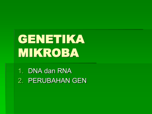 GENETIKAGGGG MIKROBA