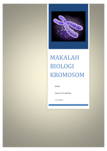 makalah biologi kromosom