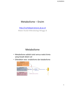 Metabolisme – Enzim