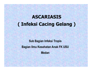 ASCARIASIS ( Infeksi Cacing Gelang )