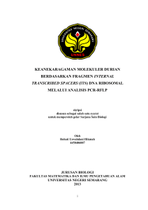 (its) dna ribosomal melalui analisis pcr-rflp