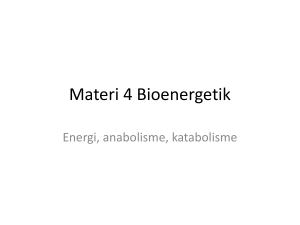 Materi 4 Bioenergetik
