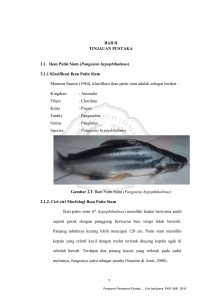 BAB II TINJAUAN PUSTAKA 2.1. Ikan Patin Siam (Pangasius