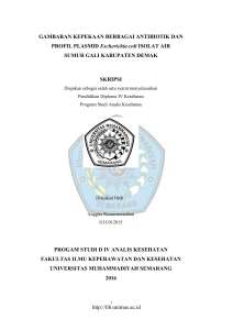 GAMBARAN KEPEKAAN BERBAGAI ANTIBIOTIK DAN PROFIL