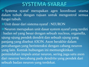 SYSTEMA SYARAF