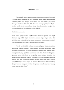 metabolisme protein