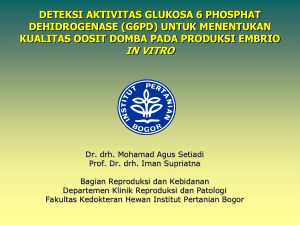 Deteksi Aktivitas Glukosa 6 Phosphat