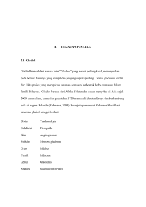 II. TINJAUAN PUSTAKA 2.1 Gladiol Gladiol berasal dari bahasa latin