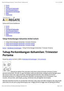 Tahap Perkembangan Kehamilan: Trimester Pertama | Kedokteran